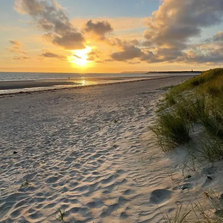 Hébergement de vacances Le Chaton Des Dunes *